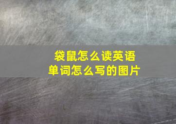 袋鼠怎么读英语单词怎么写的图片