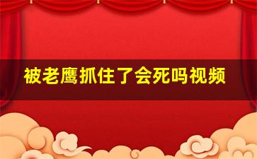 被老鹰抓住了会死吗视频