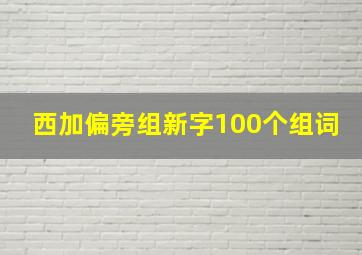 西加偏旁组新字100个组词