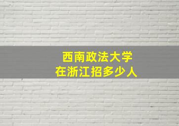 西南政法大学在浙江招多少人