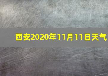 西安2020年11月11日天气