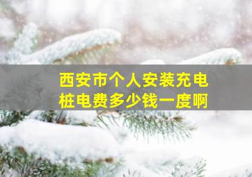 西安市个人安装充电桩电费多少钱一度啊