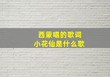 西蒙唱的歌词小花仙是什么歌