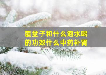 覆盆子和什么泡水喝的功效什么中药补肾