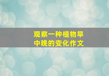 观察一种植物早中晚的变化作文