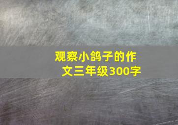 观察小鸽子的作文三年级300字