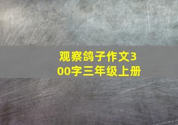 观察鸽子作文300字三年级上册