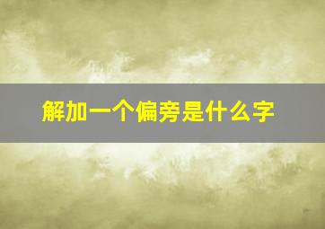 解加一个偏旁是什么字