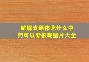 解脲支原体吃什么中药可以断根呢图片大全