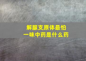 解脲支原体最怕一味中药是什么药