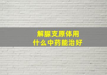 解脲支原体用什么中药能治好