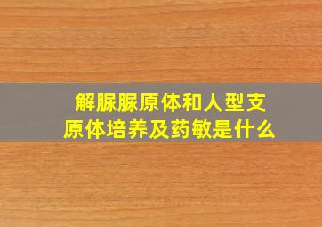 解脲脲原体和人型支原体培养及药敏是什么