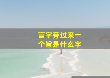 言字旁过来一个旨是什么字