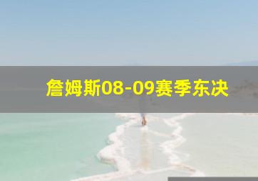 詹姆斯08-09赛季东决