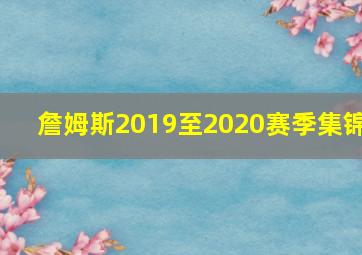 詹姆斯2019至2020赛季集锦