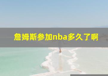 詹姆斯参加nba多久了啊