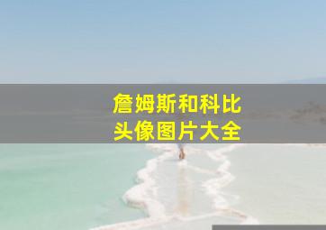 詹姆斯和科比头像图片大全