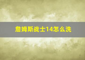 詹姆斯战士14怎么洗