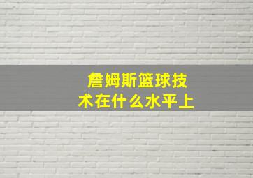 詹姆斯篮球技术在什么水平上