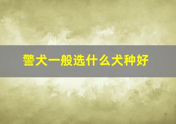 警犬一般选什么犬种好