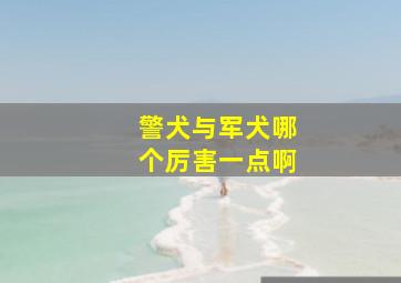 警犬与军犬哪个厉害一点啊