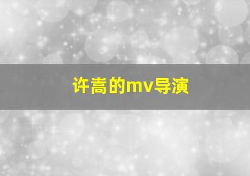 许嵩的mv导演