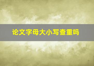 论文字母大小写查重吗