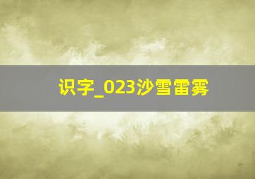 识字_023沙雪雷雾