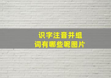 识字注音并组词有哪些呢图片