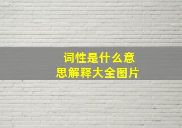 词性是什么意思解释大全图片