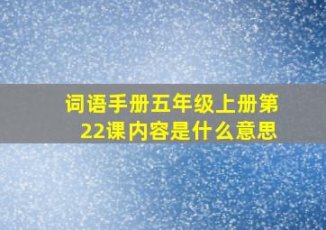 词语手册五年级上册第22课内容是什么意思