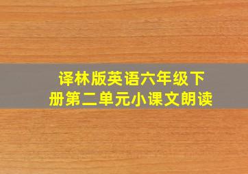 译林版英语六年级下册第二单元小课文朗读