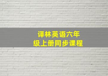 译林英语六年级上册同步课程