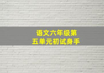 语文六年级第五单元初试身手