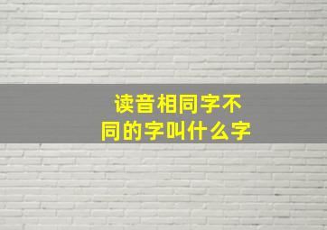 读音相同字不同的字叫什么字