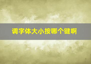 调字体大小按哪个键啊