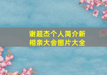 谢超杰个人简介新相亲大会图片大全