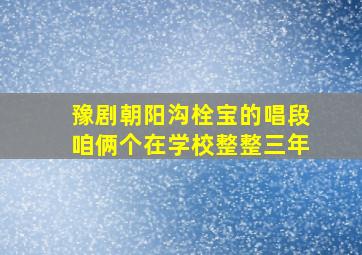 豫剧朝阳沟栓宝的唱段咱俩个在学校整整三年