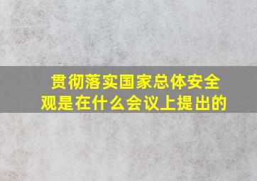 贯彻落实国家总体安全观是在什么会议上提出的