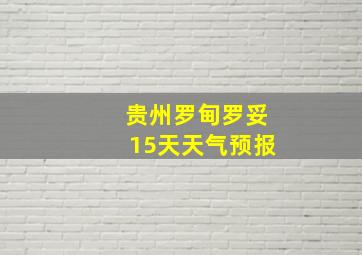 贵州罗甸罗妥15天天气预报