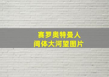 赛罗奥特曼人间体大河望图片