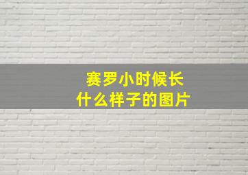 赛罗小时候长什么样子的图片