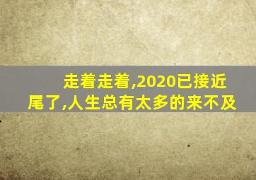 走着走着,2020已接近尾了,人生总有太多的来不及