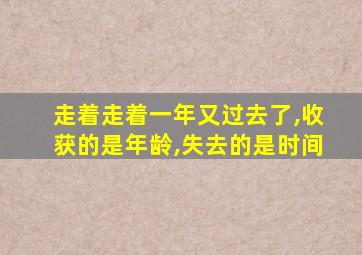 走着走着一年又过去了,收获的是年龄,失去的是时间