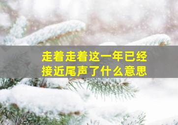 走着走着这一年已经接近尾声了什么意思