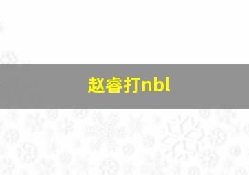 赵睿打nbl