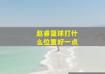 赵睿篮球打什么位置好一点