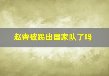 赵睿被踢出国家队了吗