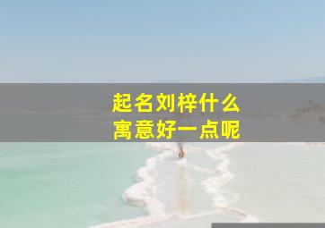 起名刘梓什么寓意好一点呢