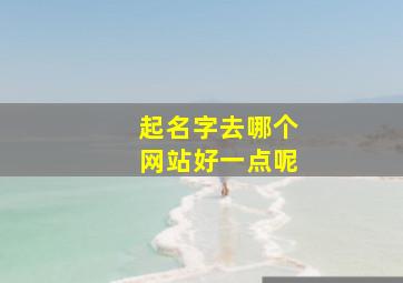 起名字去哪个网站好一点呢